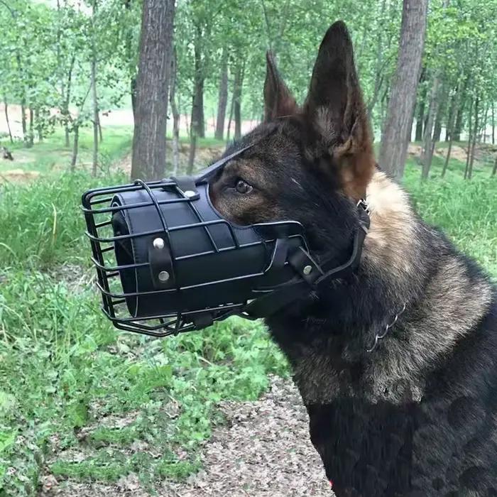 Muselière pour chien réglable en acier inoxydable - Couverture d'entraînement respirante anti-morsure avec boucle pour