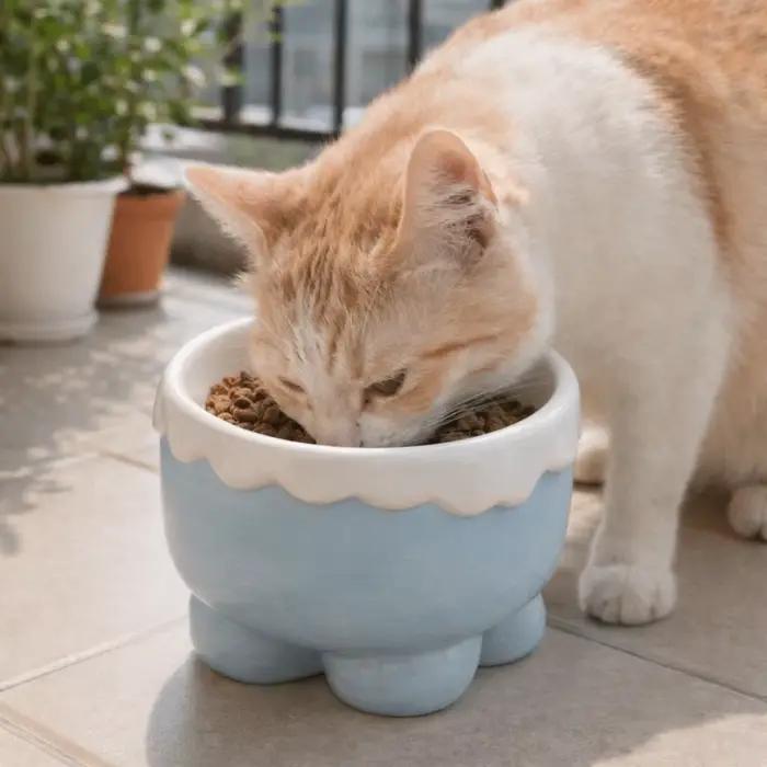 Gamelle en céramique antidérapante pour animaux de compagnie