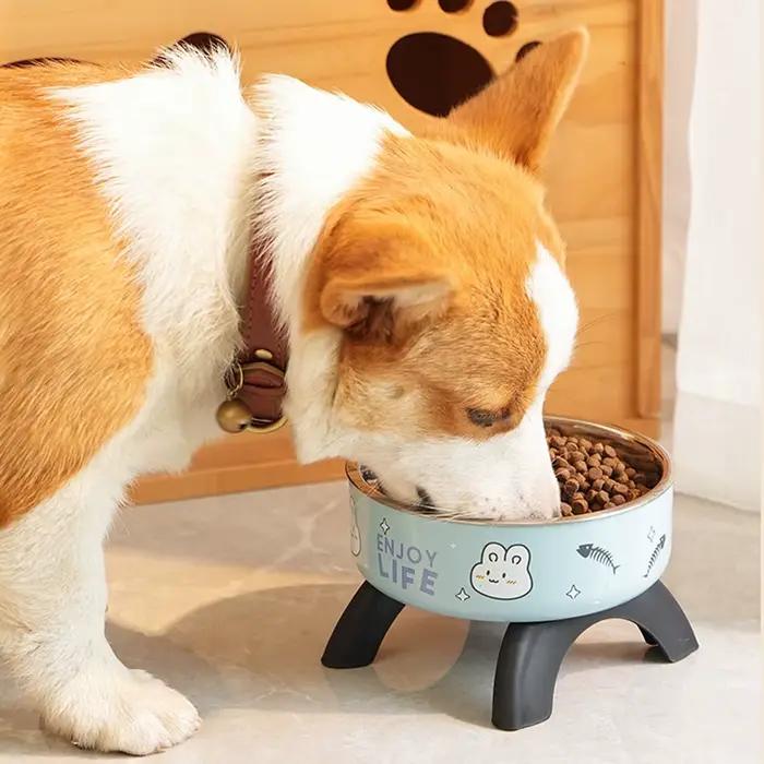 Bol de nourriture surélevé pour animaux de compagnie
