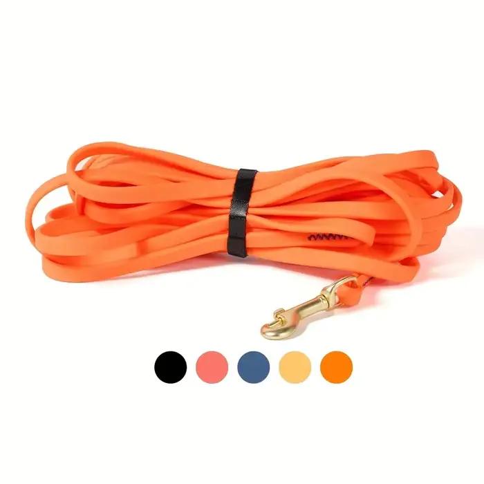 Laisse pour chien 5 pieds