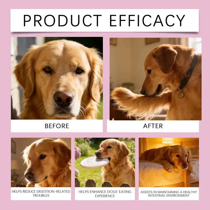 Gouttes de collagène liquide pour chiens améliorent la flexibilité des articulations, renforcent les os, améliorent l'état de la peau, complément nutritionnel quotidien doux pour chiens.