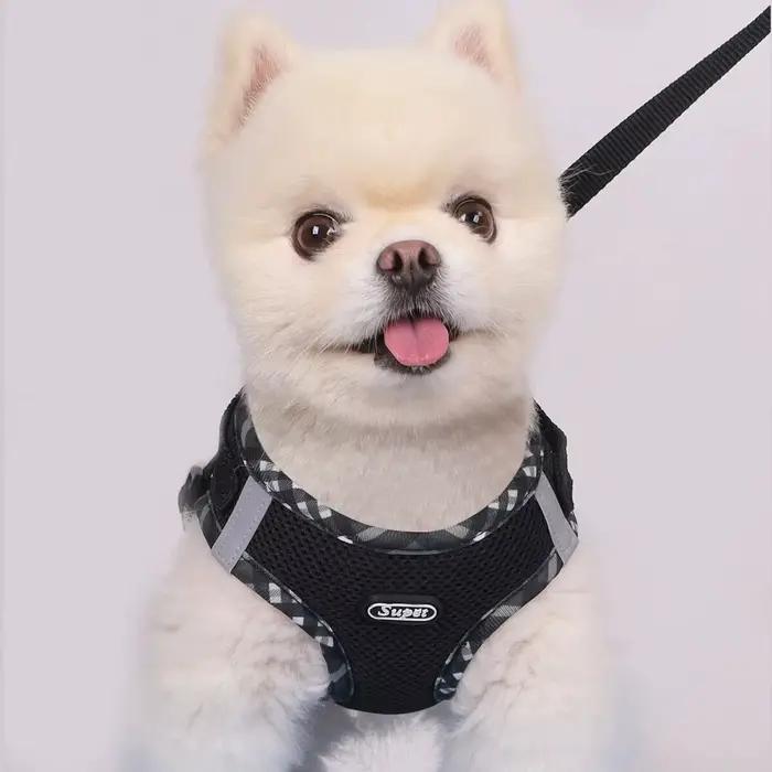 Harnais pour chien Supet 1 pièce