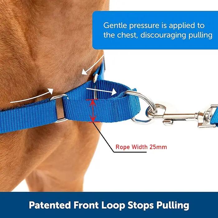 Collier pour chien en Nylon Martingale robuste