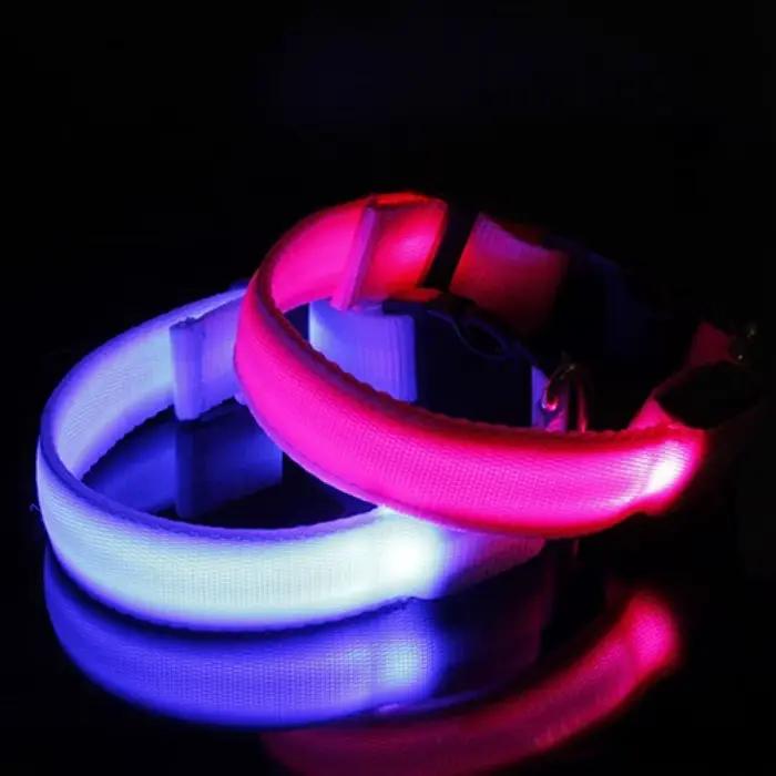 Collier Anti-perte pour chien à LED
