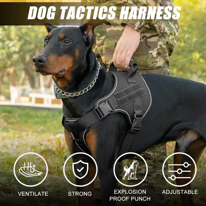 Harnais tactique pour chien, Doberman Pinscher, gilet d'entraînement pour animaux de compagnie, harnais pour petits, moyens et grands chiens, antidéflagrant