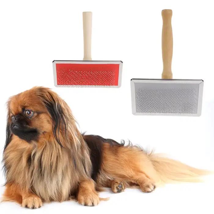 Brosse nettoyage pour animaux compagnie