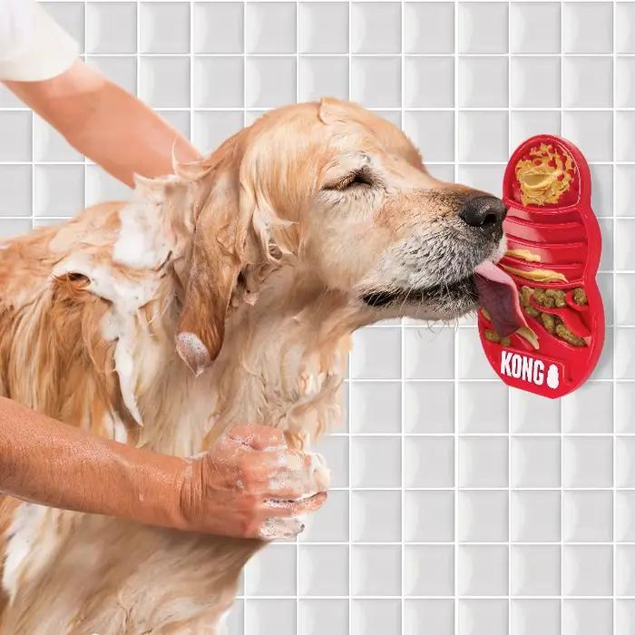 KONG se lève pour chien / Kitty