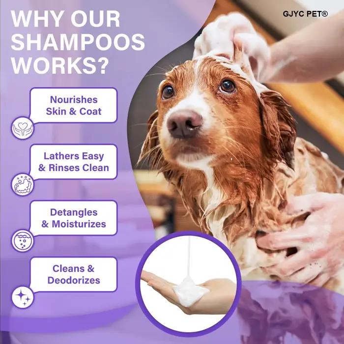 Shampoo pour animaux hypoallergénique chiens chats - Parfum naturel à la lavande Nettoyage en profondeur Désodorisant Hydratant Sans larmes Doux pour peaux sensibles
