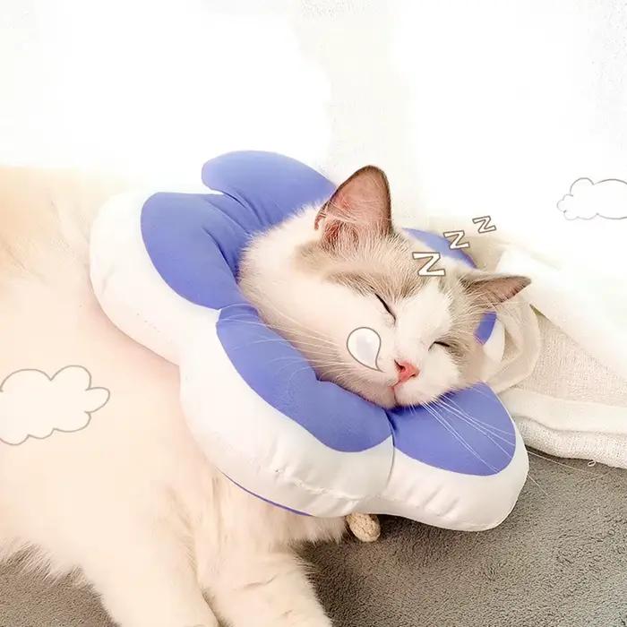 Couvre-tête de chat collier élisabéthain toilettage bain anti-léchage anti-rayures