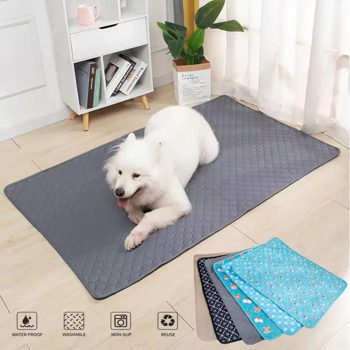 Coussinets d'urine pour chien