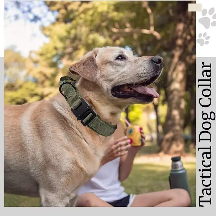 Collier pour chien Durable réglable militaire