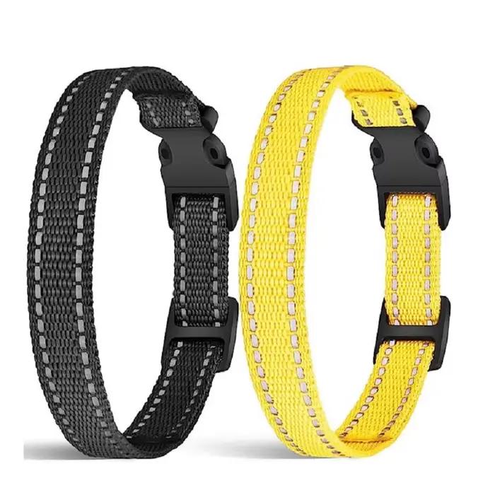 Sangle de remplacement pour collier de chien