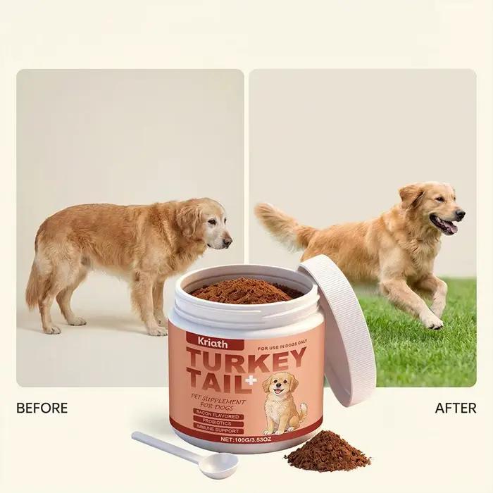 Complément alimentaire pour soutenir l'immunité des chiens - Soins