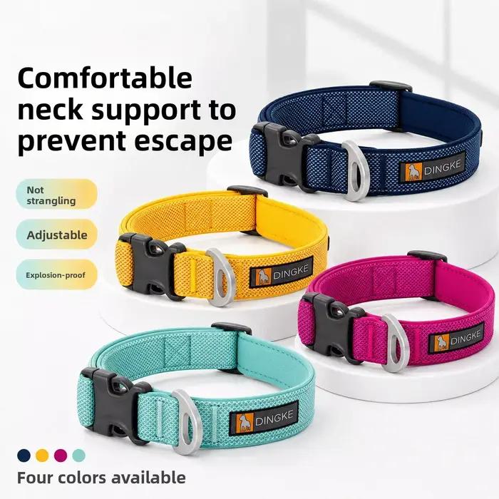 Nouveau collier pour chien