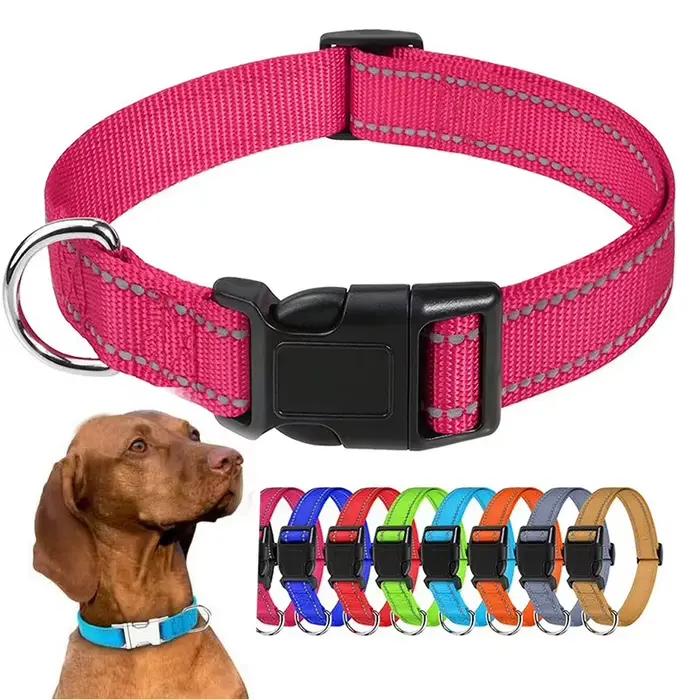 Collier ras du cou pour petit chien
