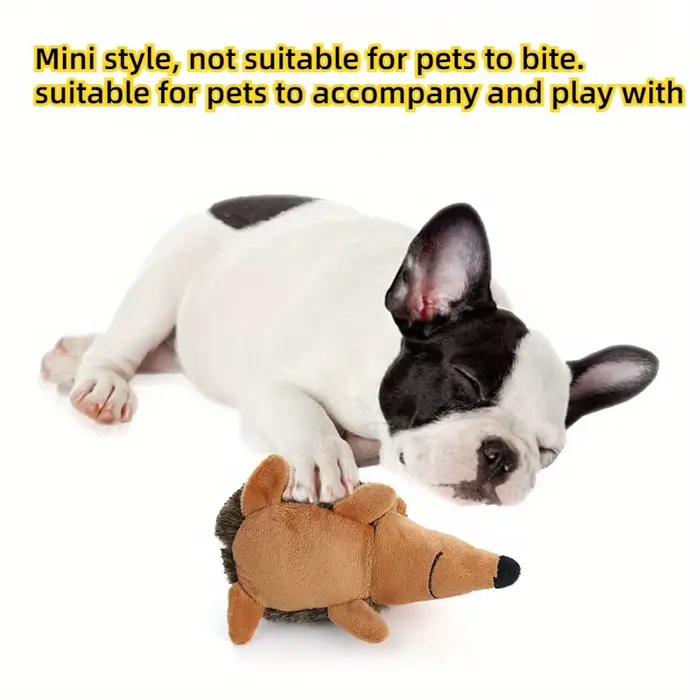 Jouet en peluche hérisson grinçant pour chien