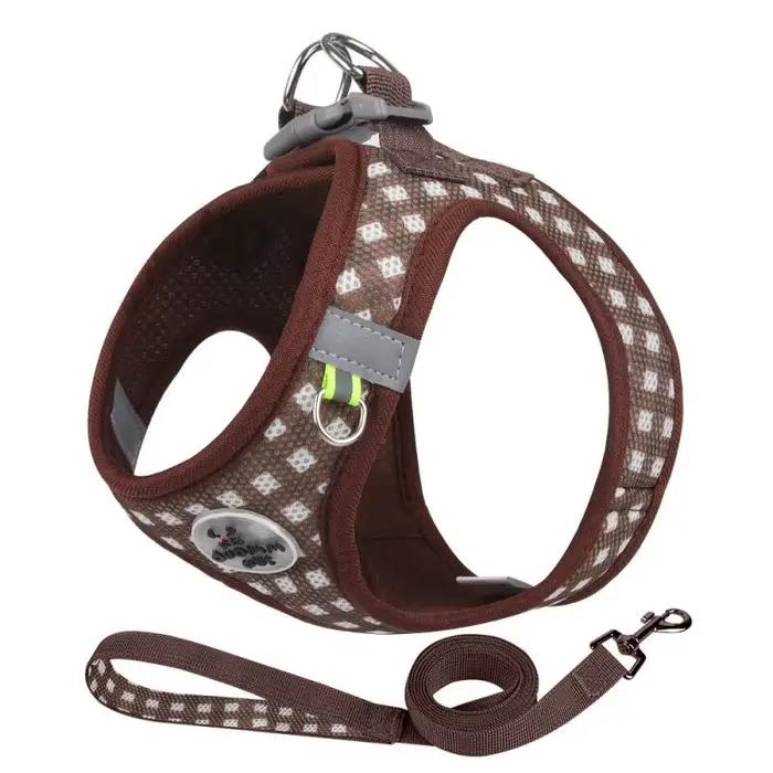 Ensemble harnais et laisse pour chat