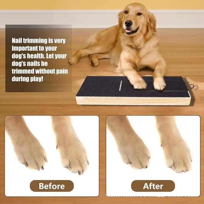 Grattoir en bois pour chiens avec boîte à friandises intégrée, plateau de coupe-griffes, surface en papier de verre à conception coulissante, jouet à gratter