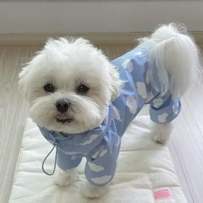 Manteau imperméable pour chien