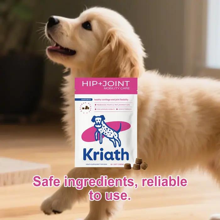 Complément alimentaire pour chiens