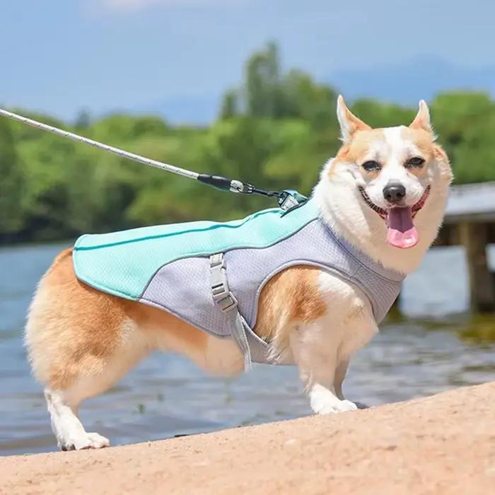 Gilet rafraîchissant pour chien