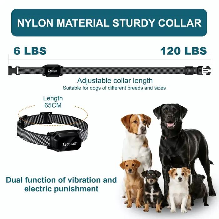 Collier de dressage numérique pour chien