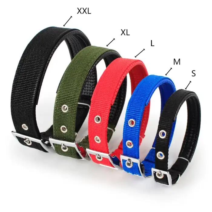 Colliers pour chiens solides