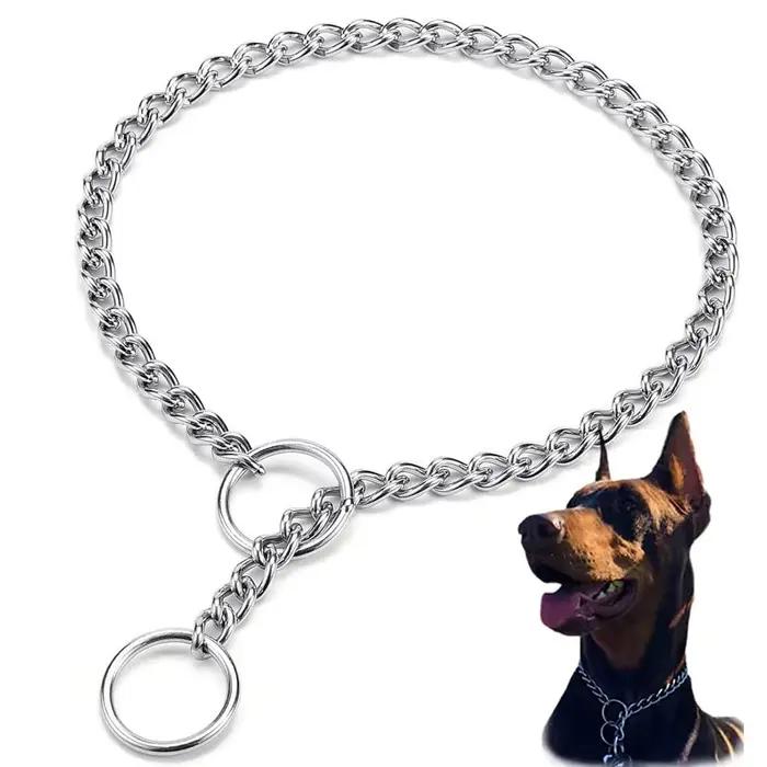 Collier de starter pour chien