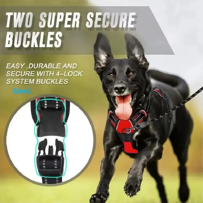 Harnissan RapDuty Casting pour grand chien