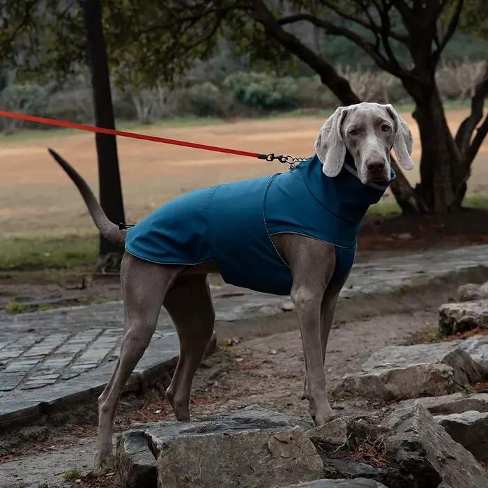 Imperméable pour chien de petite et grande taille