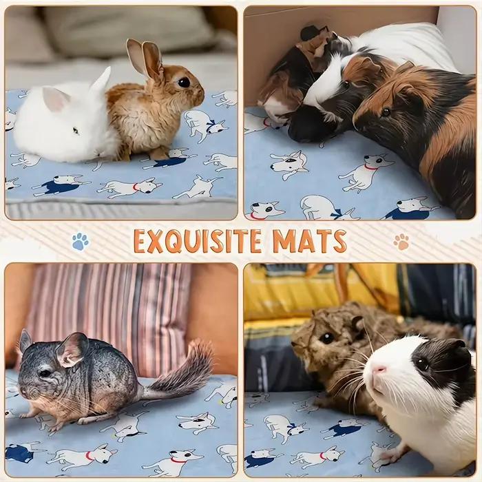 Couverture douillette et chaude pour chien