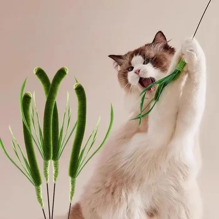 Jouet à mâcher en herbe pour chat et chien