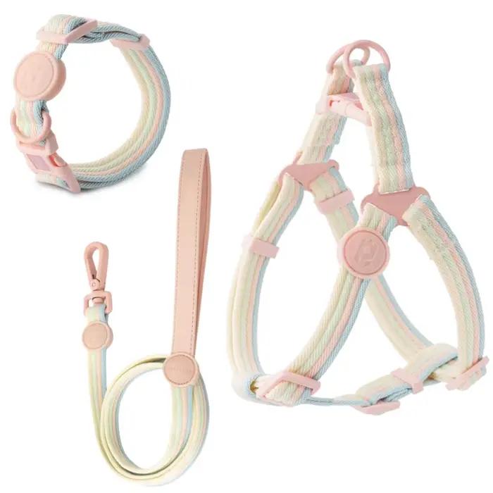 Collier pour chien à blocs de couleurs irisées et harnais confortable
