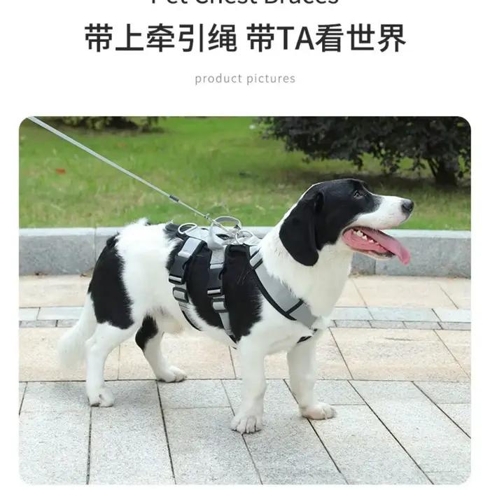 Harnais réglable anti-traction pour chien et laisse d'entraînement robuste anti-évasion pour chiens de taille moyenne à