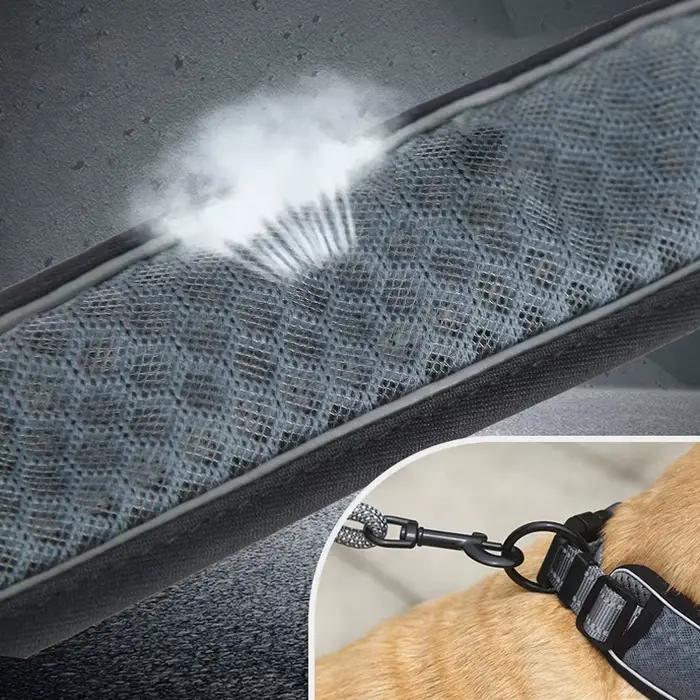Collier en nylon pour animaux de compagnie