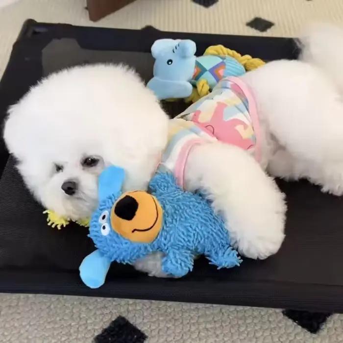 Peluche durable couineuse pour chien