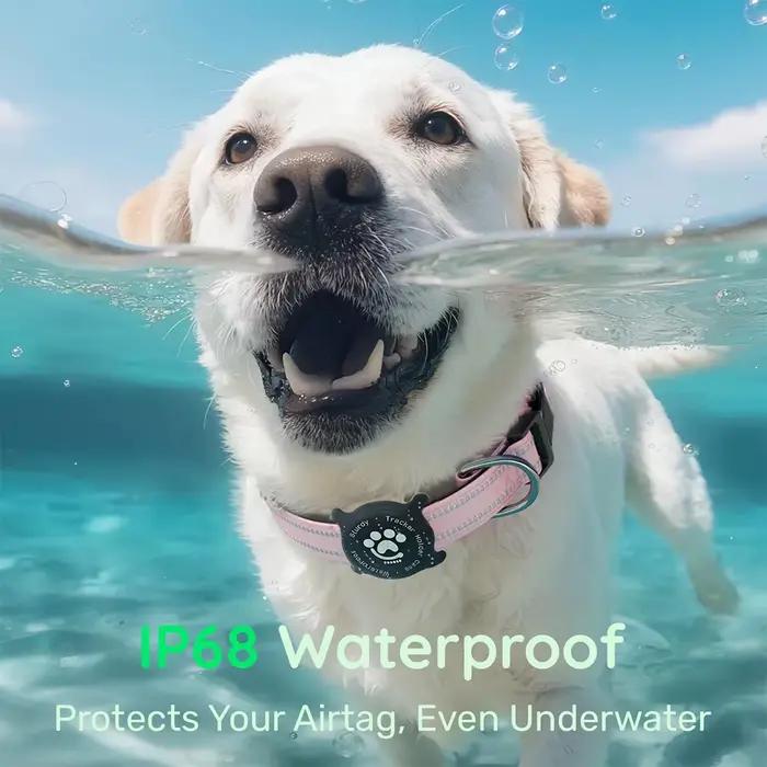 Collier réfléchissant pour chien Taakcc avec support AirTag lumineux