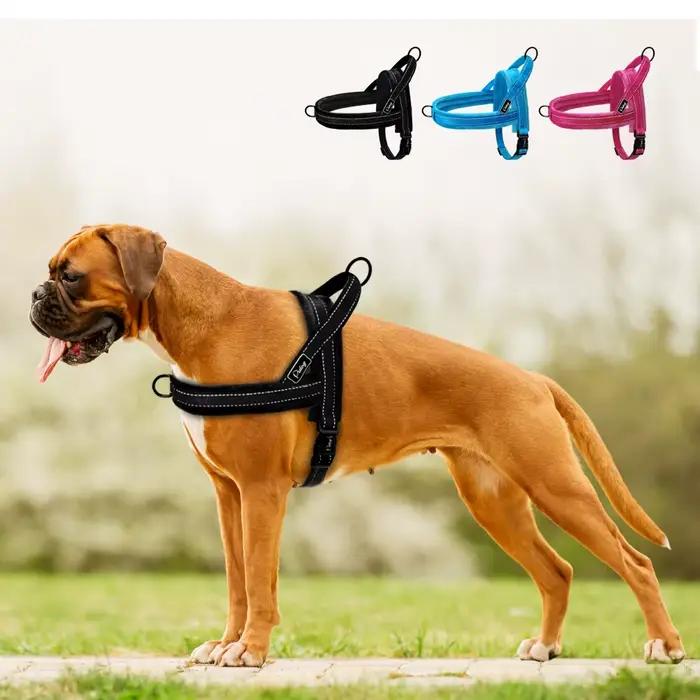 Sangle rembourrée en nylon chaud pour chien sans nervure