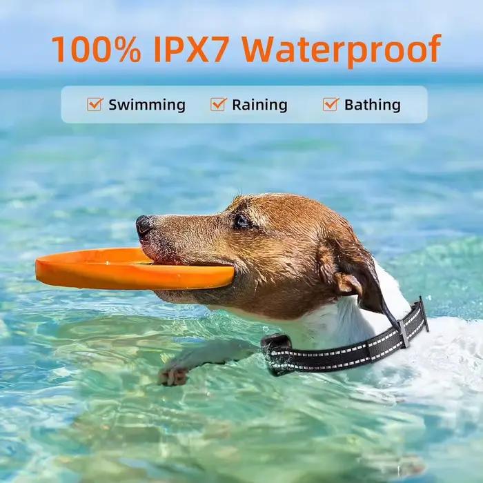Paipaitek 1000M collier d'entraînement pour chien toutes tailles