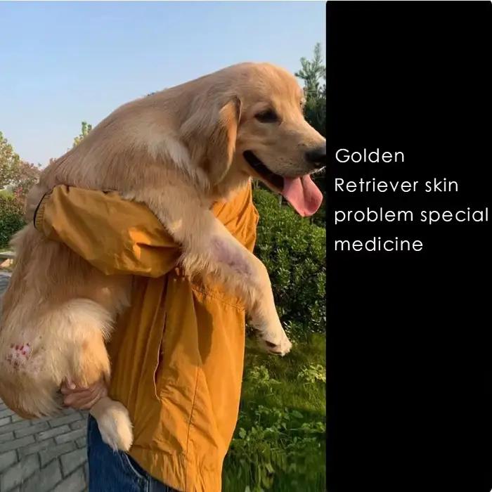 NOUVELLE Pommade anti-démangeaisons pour animaux de compagnie : Soulagement rapide des problèmes de mycose/acariens