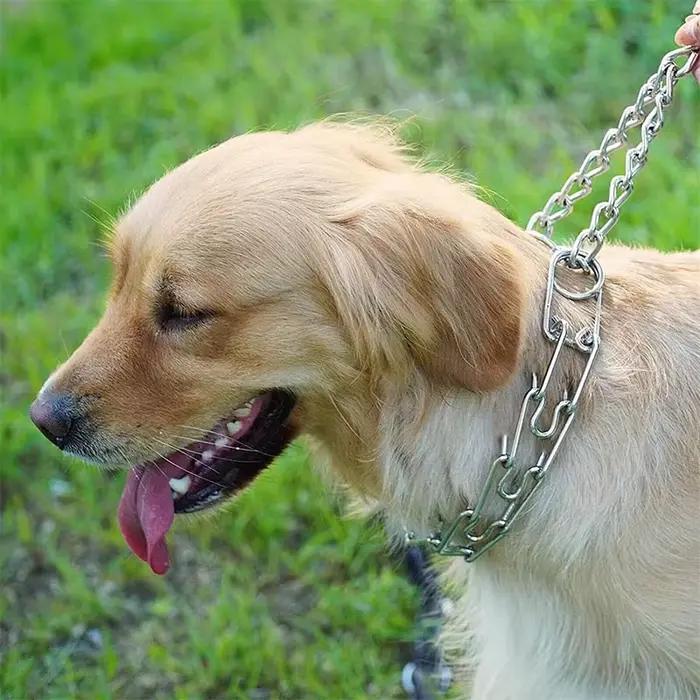 Collier d'entraînement pour chien