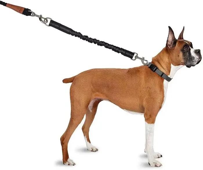 Laisse d'extension pour chien - Réglable et extensible