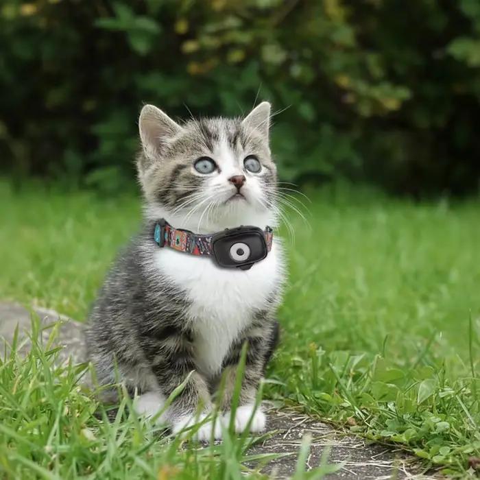 Collier GPS intelligent 4G pour chiens et chats, sans frais mensuels, sans abonnement, sans frais cachés, alarme anti-perte et géolocalisation