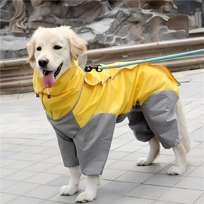 Combinaison imperméable pour chien en plein air