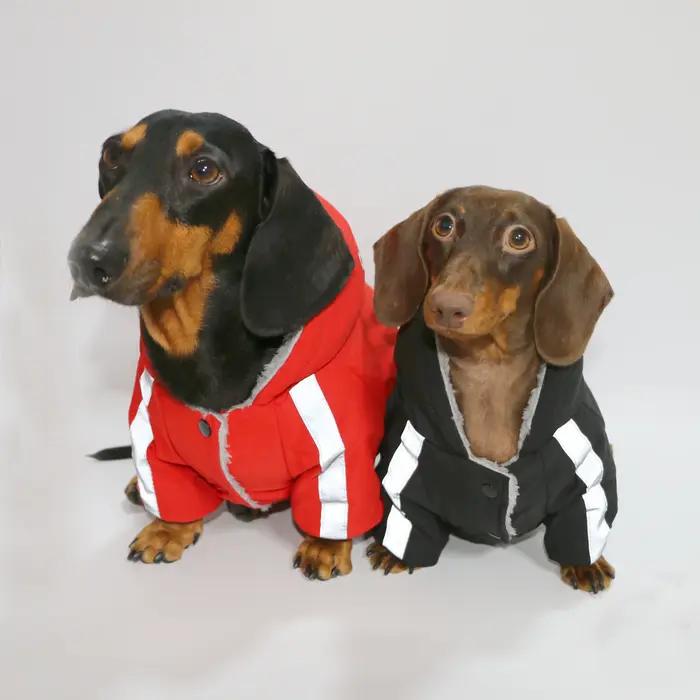 Hiver chaud en peluche teckel chiens imperméable coupe-vent