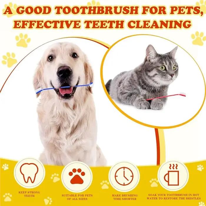 Brosse à dents pratique à double tête pour chien