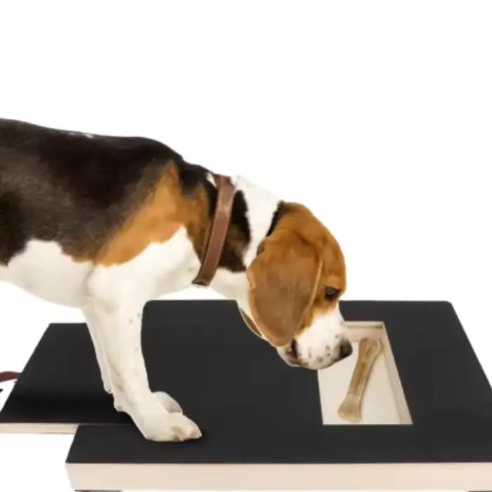 Planche à gratter en bois pour animaux de compagnie avec boîte à friandises intégrée, tampon de coupe-ongles pour chien, planche à gratter extractible, jouet à gratter, planche à gratter en papier de 