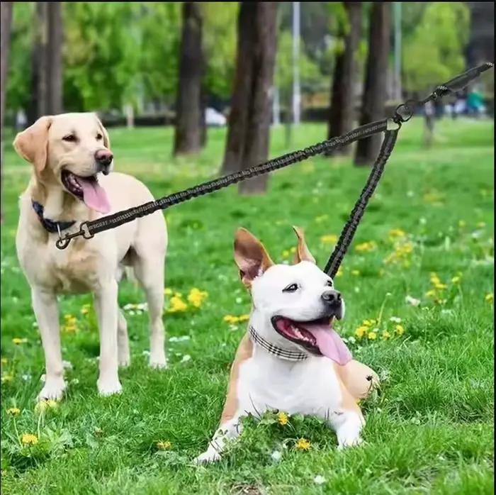 Laisse de dressage réfléchissante à double point de contrôle anti-traction avec poignée rembourrée pour chiens de