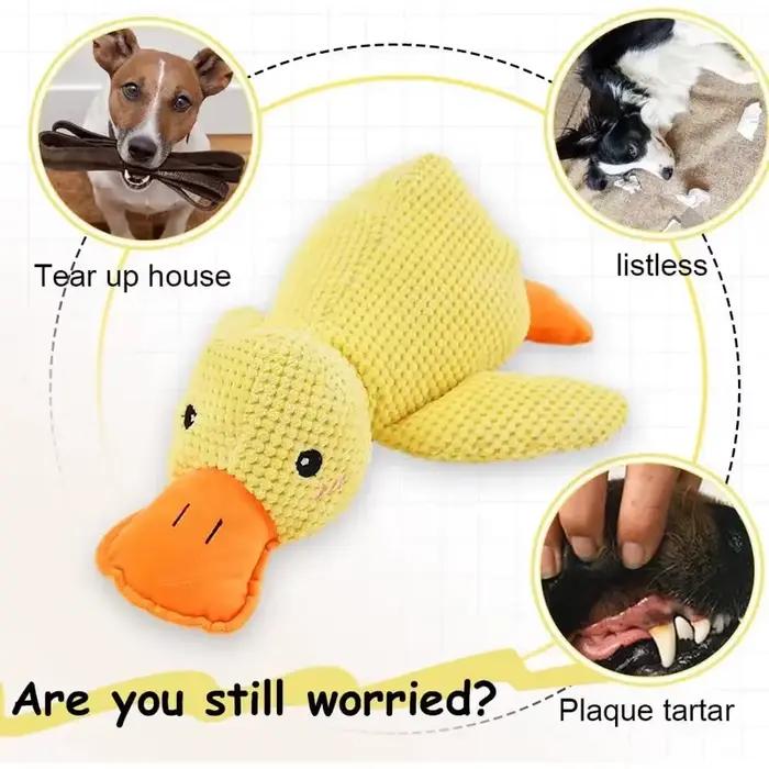 Jouets pour chiens 2026