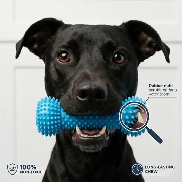 Jouet à mâcher pour chien, bâtonnets de caoutchouc à double action pour l'entraînement, jouet de nettoyage pour les dents des chiots et des chiens de petites, moyennes et grandes races